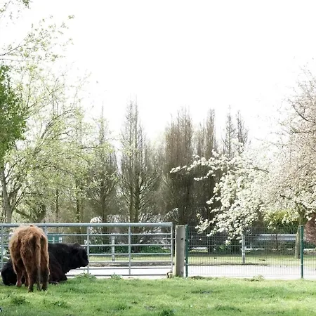 Haus Meta Appartamento *