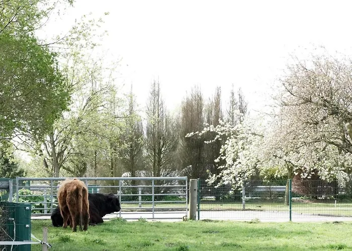 Haus Meta Apartmán *